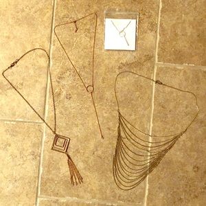 Lot of necklaces FabFitFun Causebox gold silver